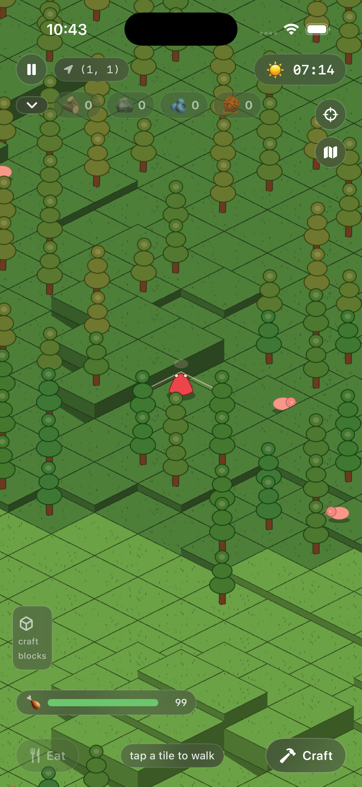 Dense forest exploration